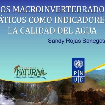 Los Macroinvertebrados Acuáticos como Indicadores de la Calidad del Agua