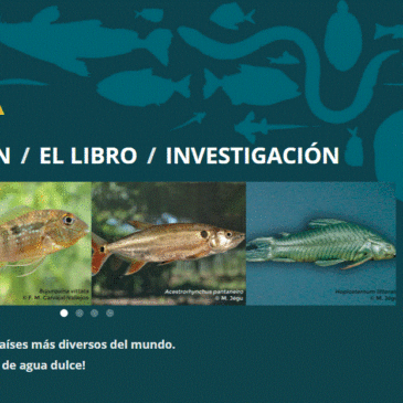 Libro: Peces de Bolivia