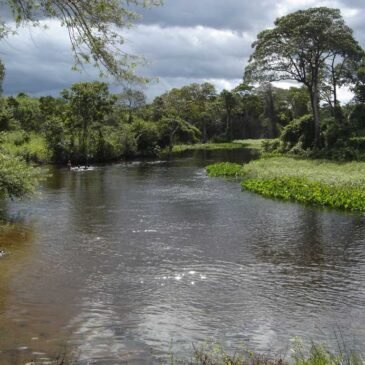 Agua y Humedales General