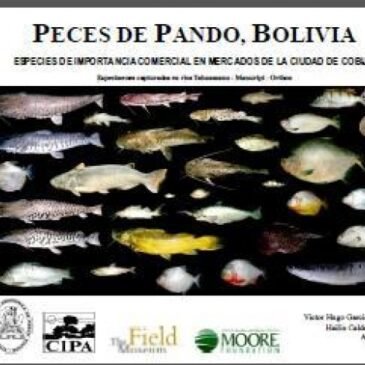 Peces comerciales de Pando