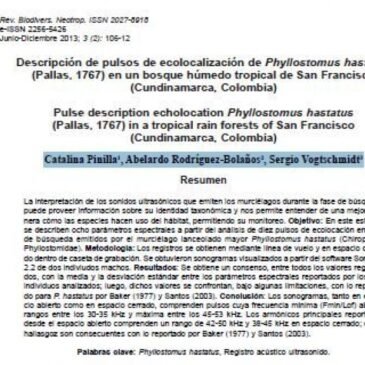 Descripción de pulsos de ecolocalización de Phyllostomus hastatus (Pallas, 1767) en un bosque húmedo tropical de San Francisco (Cundinamarca, Colombia)