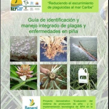 Guía de identificación y manejo integrado de plagas y enfermedades en piña