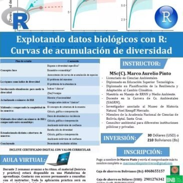 Curso virtual