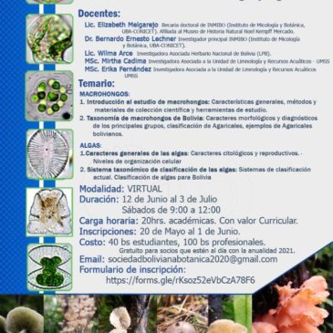 Curso Teórico: Introducción a los macrohongos y algas
