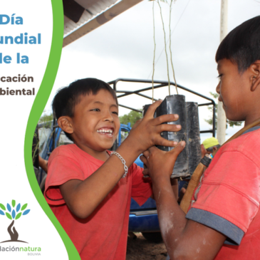 Día internacional Día Educación Ambiental