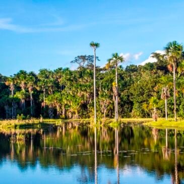 Bolivia integra a la Lista Verde de la UICN en su estrategia nacional de gestión de áreas protegidas