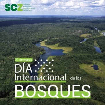 Día internacional de los bosques