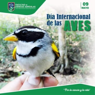Día internacional de las aves
