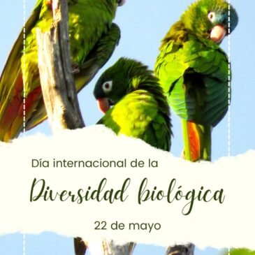 Día internacional de la biodiversidad biológica