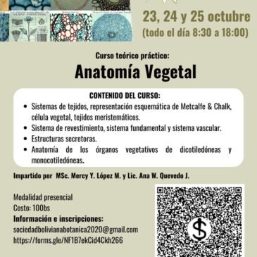Curso teórico práctico: Anatomía Vegetal