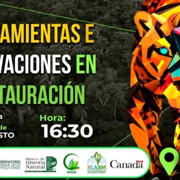 Herramientas e innovaciones en restauración