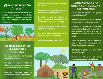 Qué es un incendio forestal?