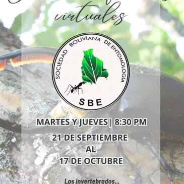 Ciclo de conferencias virtuales