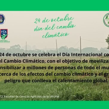 Dia del cambio climático
