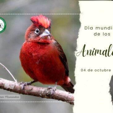 Día mundial de los animales