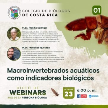 Ciclo de webinar