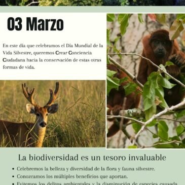 Día Mundíal de la Vida Silvestre