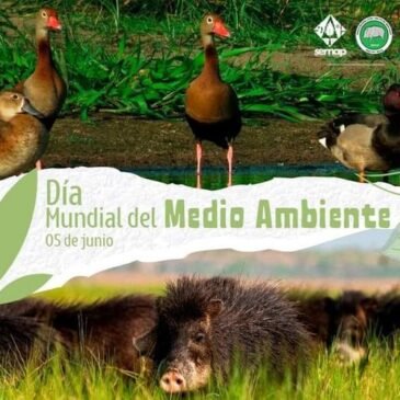 Día mundial de Medio Ambiente