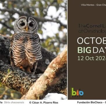 October  Big Day