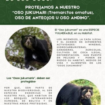 Día internacional para la protección de los osos