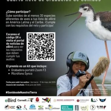 Cuarto Reto de Grabación de Sonidos!