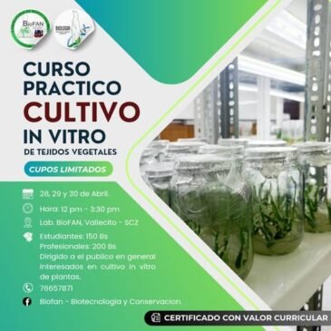 Curso