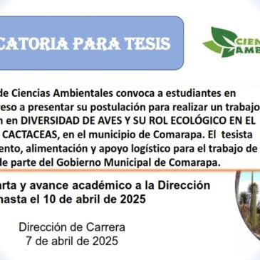 Convocatoria de tesis