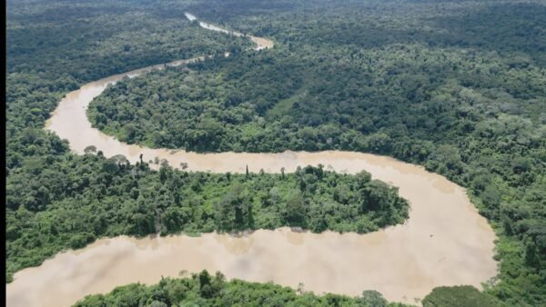Ingenieros forestales alertan que decreto impulsa desmontes y apropiación de tierras en reservas fiscale