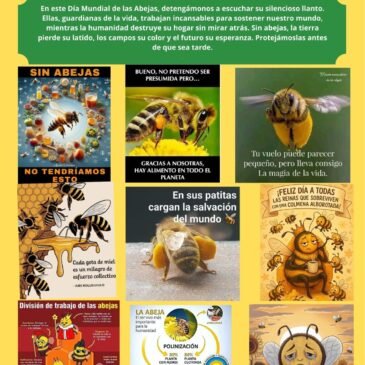 Día mundial de las abejas