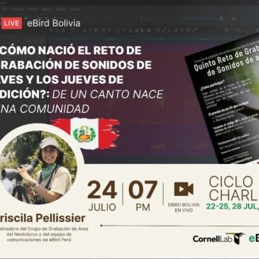 Ciclo de charlas