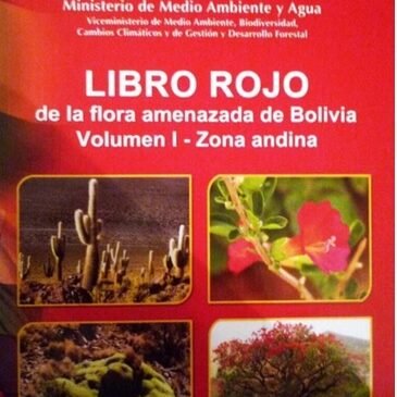 𝐋𝐈𝐁𝐑𝐎 𝐑𝐎𝐉𝐎 𝐃𝐄 𝐋𝐀 𝐅𝐋𝐎𝐑𝐀 𝐀𝐌𝐄𝐍𝐀𝐙𝐀𝐃𝐀 𝐃𝐄 𝐁𝐎𝐋𝐈𝐕𝐈𝐀 – 𝐙𝐎𝐍𝐀 𝐀𝐍𝐃𝐈𝐍𝐀