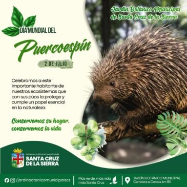 Día Mundial del Puercoespín