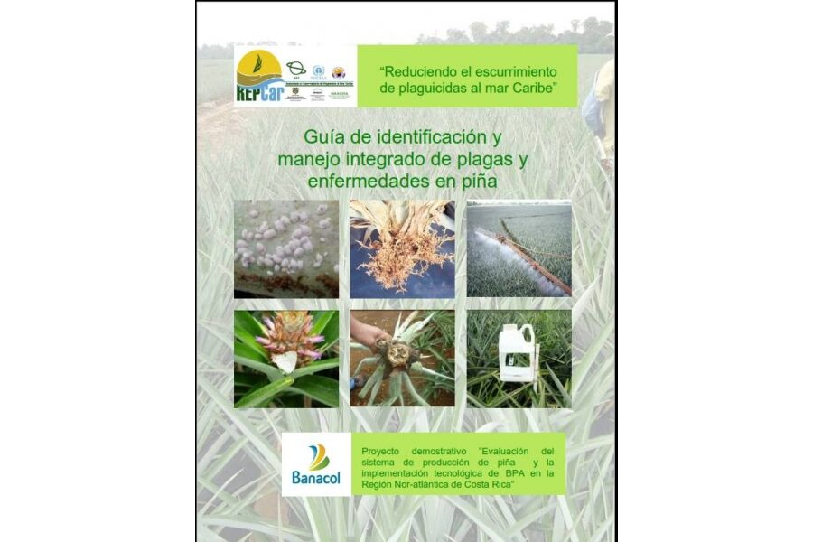 Guía de identificación y manejo integrado de plagas y enfermedades en piña